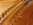 piano Paulello, facture instrumentale, Paulello Flügel, congrès EuroPiano, accordeur de piano, détail des pointes d'accrcohes